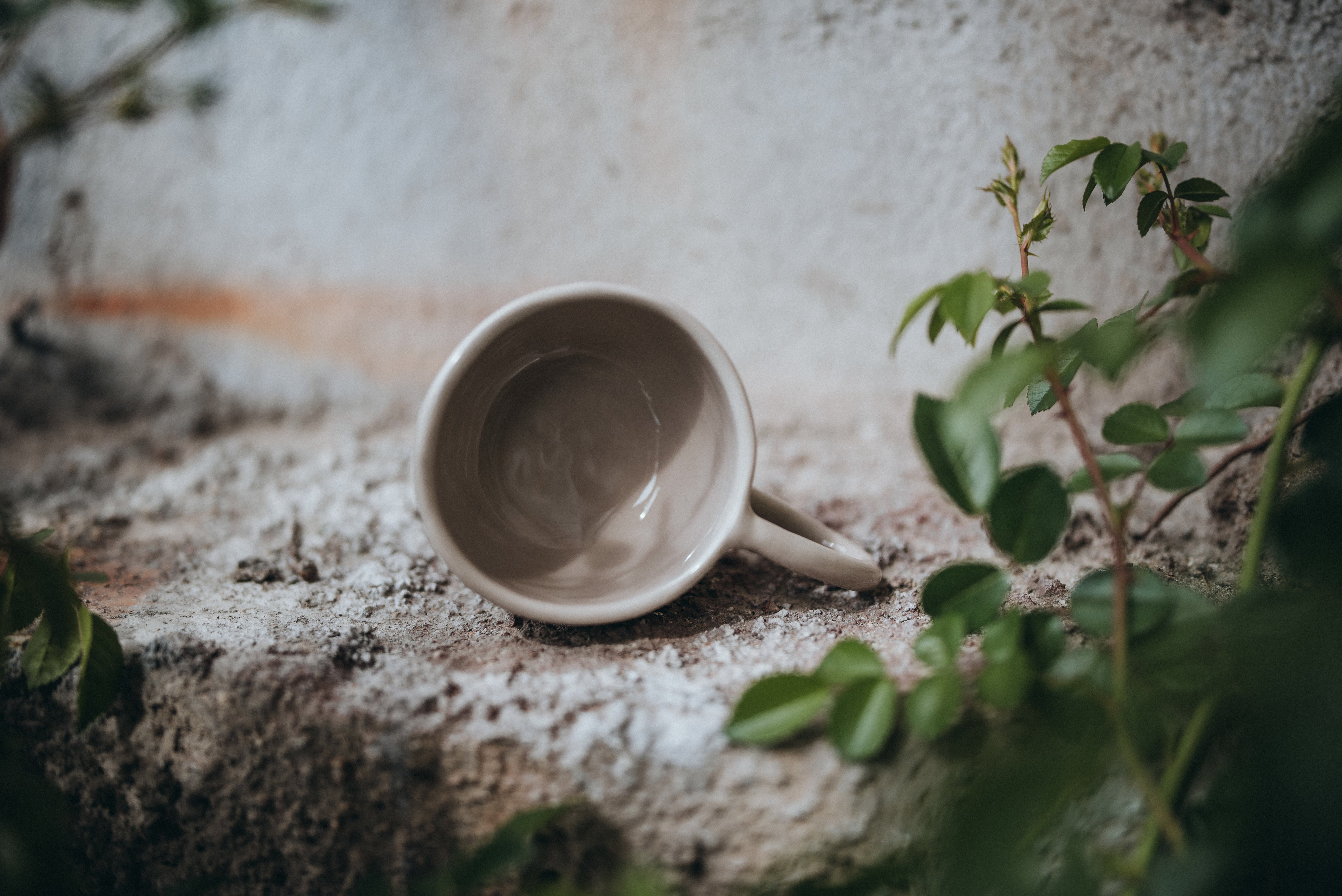Pinch Cups